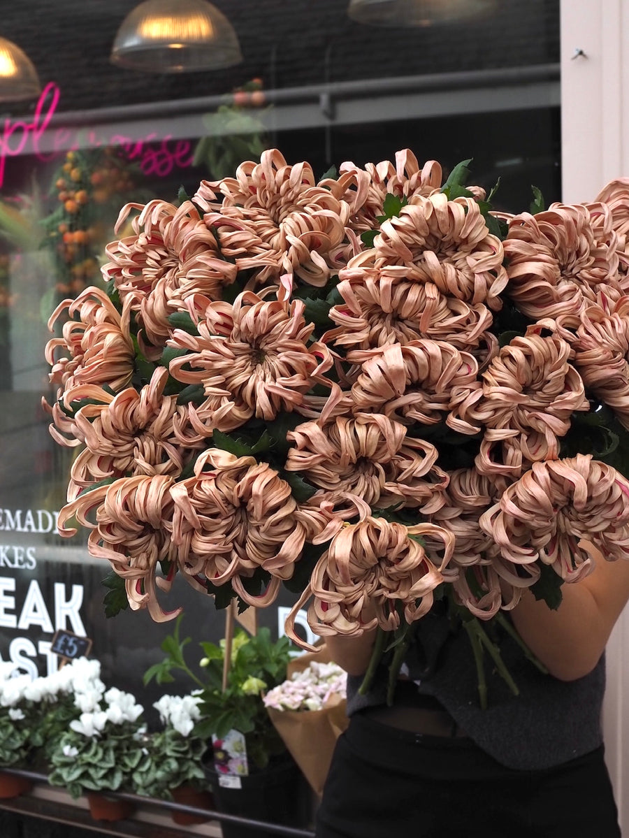 An Armful of Blooms