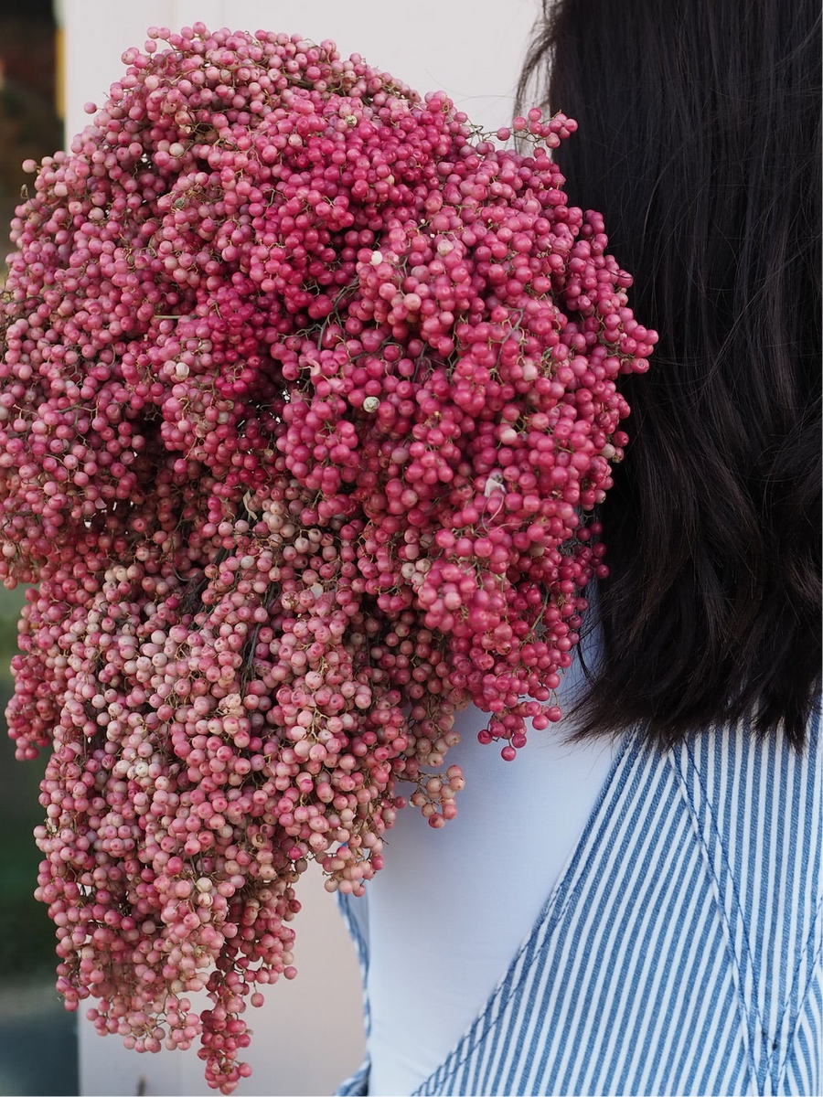 Pink Peppercorns