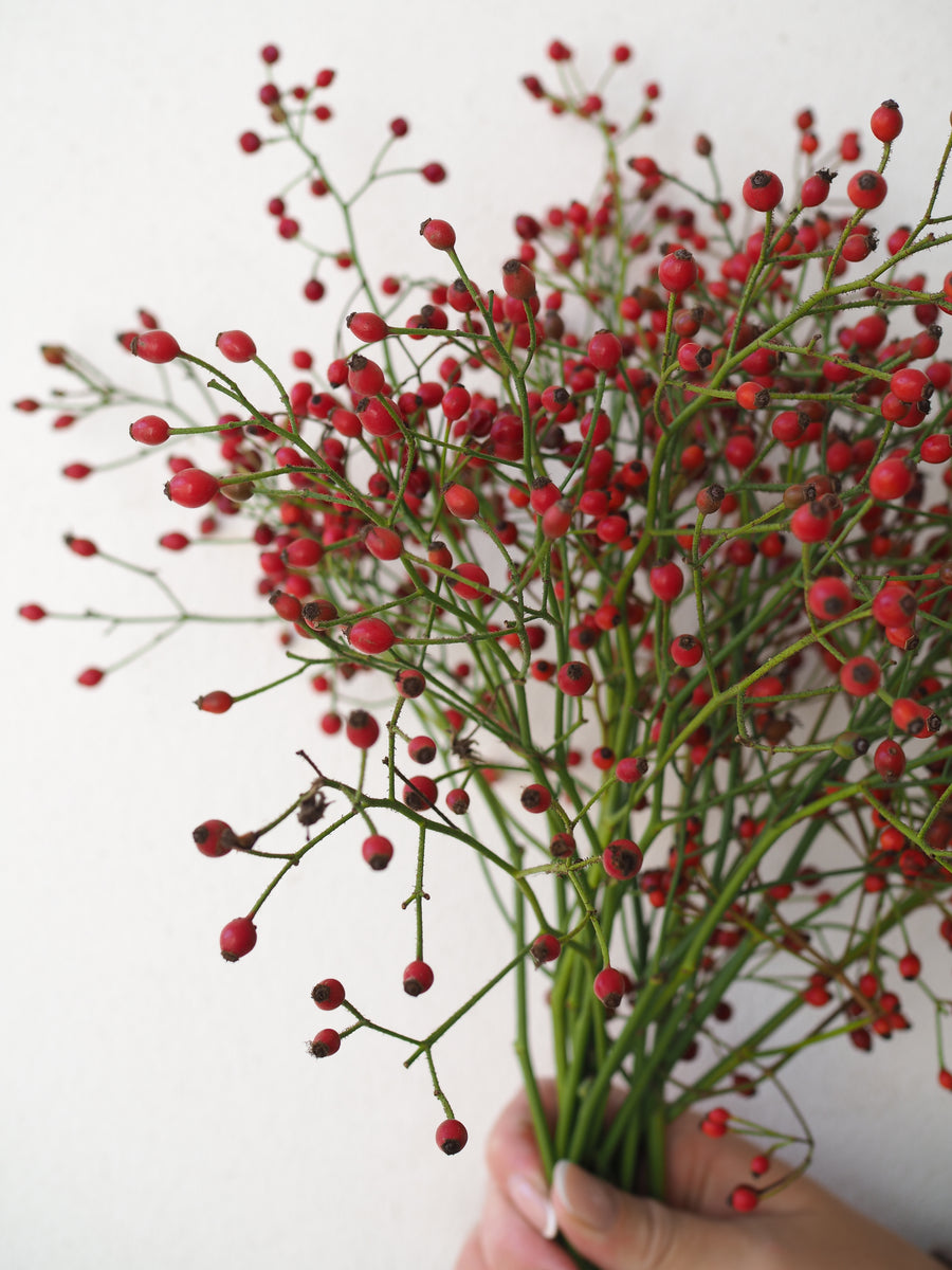 Rosehips