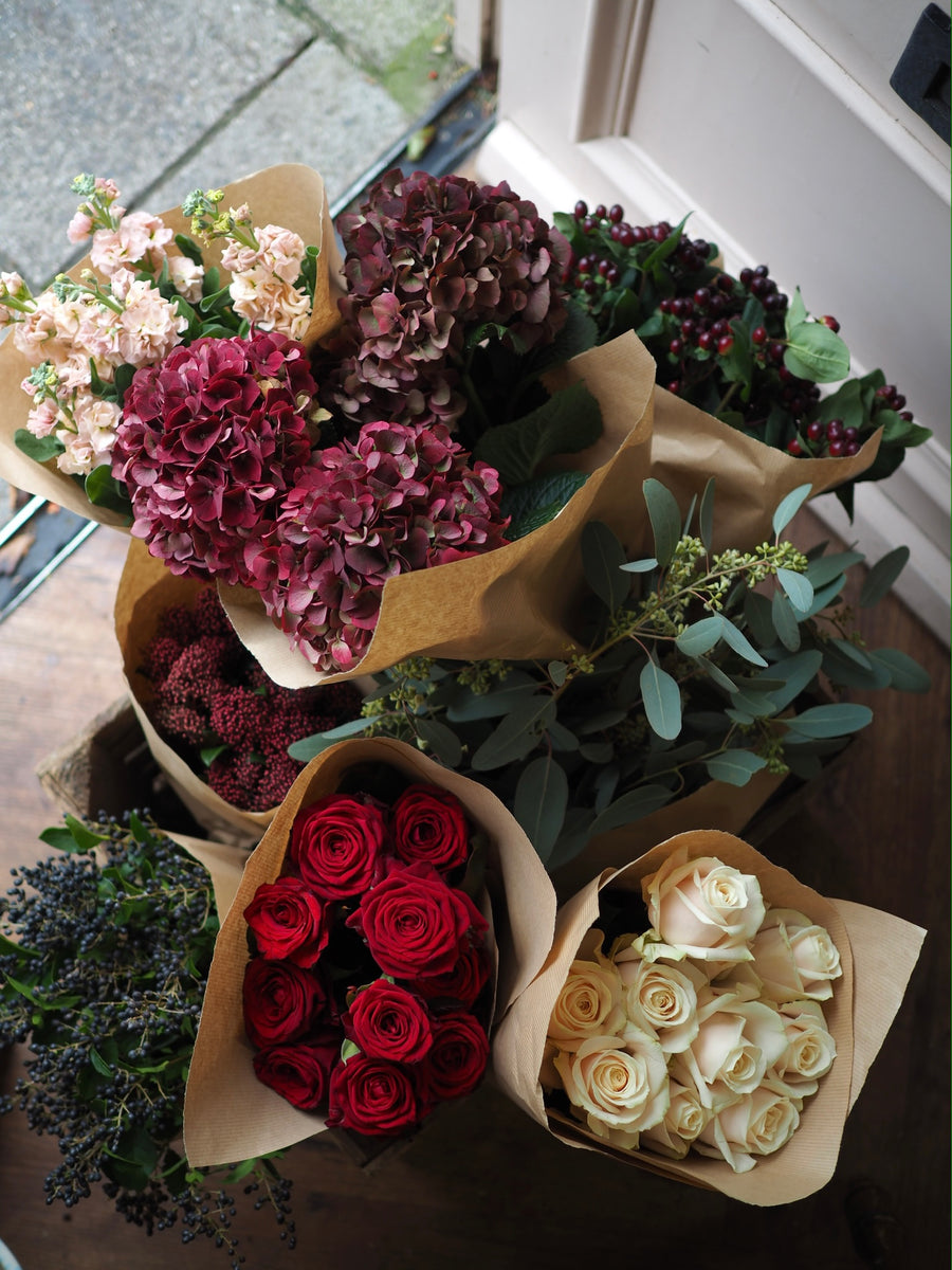 The Winter Collection