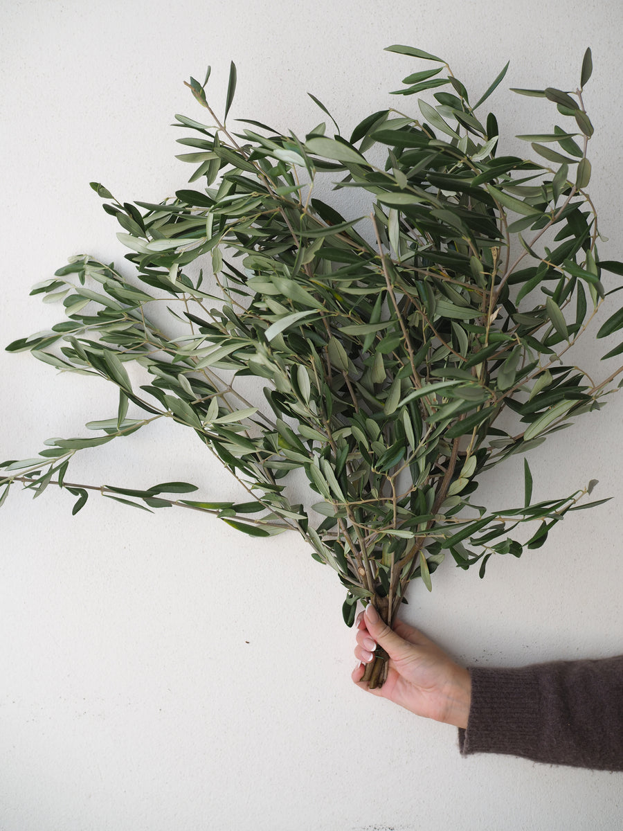Olive Bunch