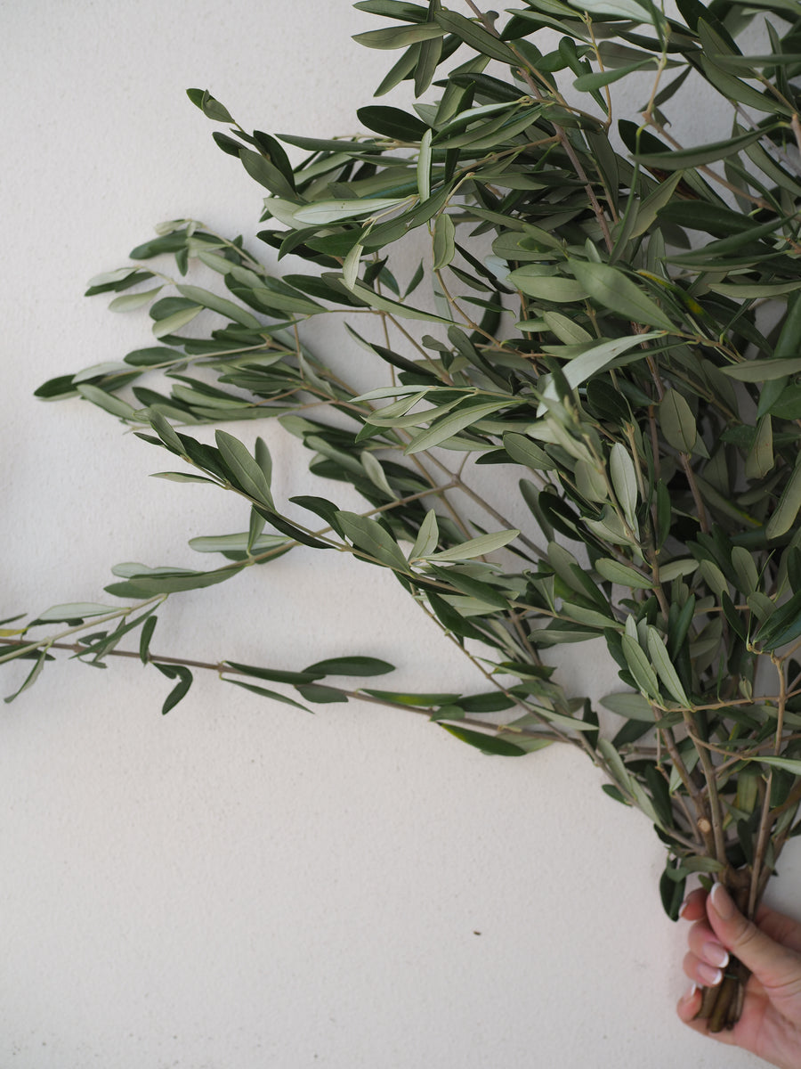 Olive Bunch