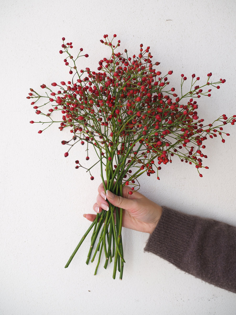 Rosehips