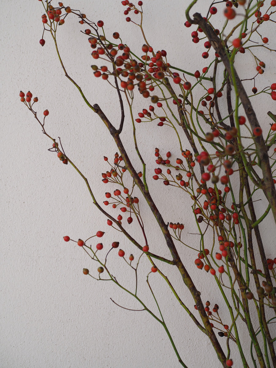 Rosehips