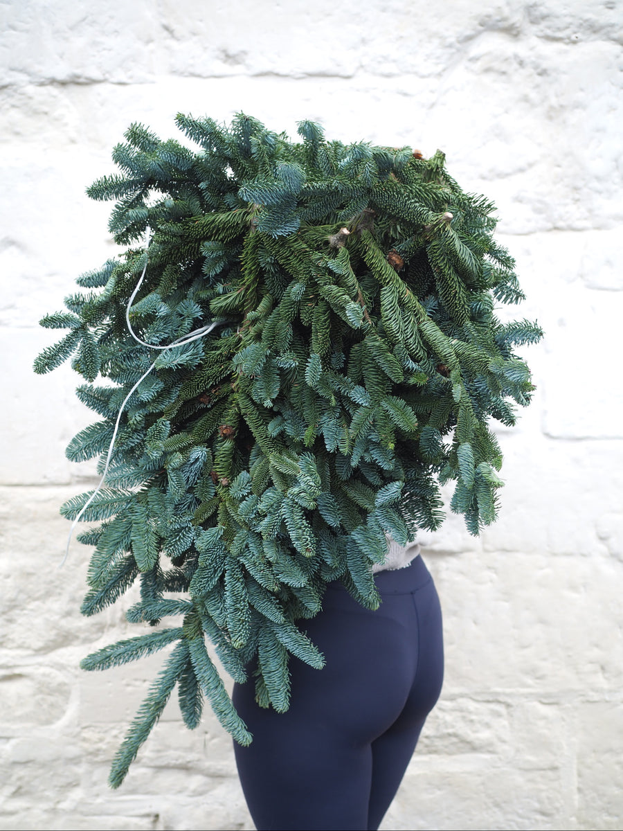 Pine