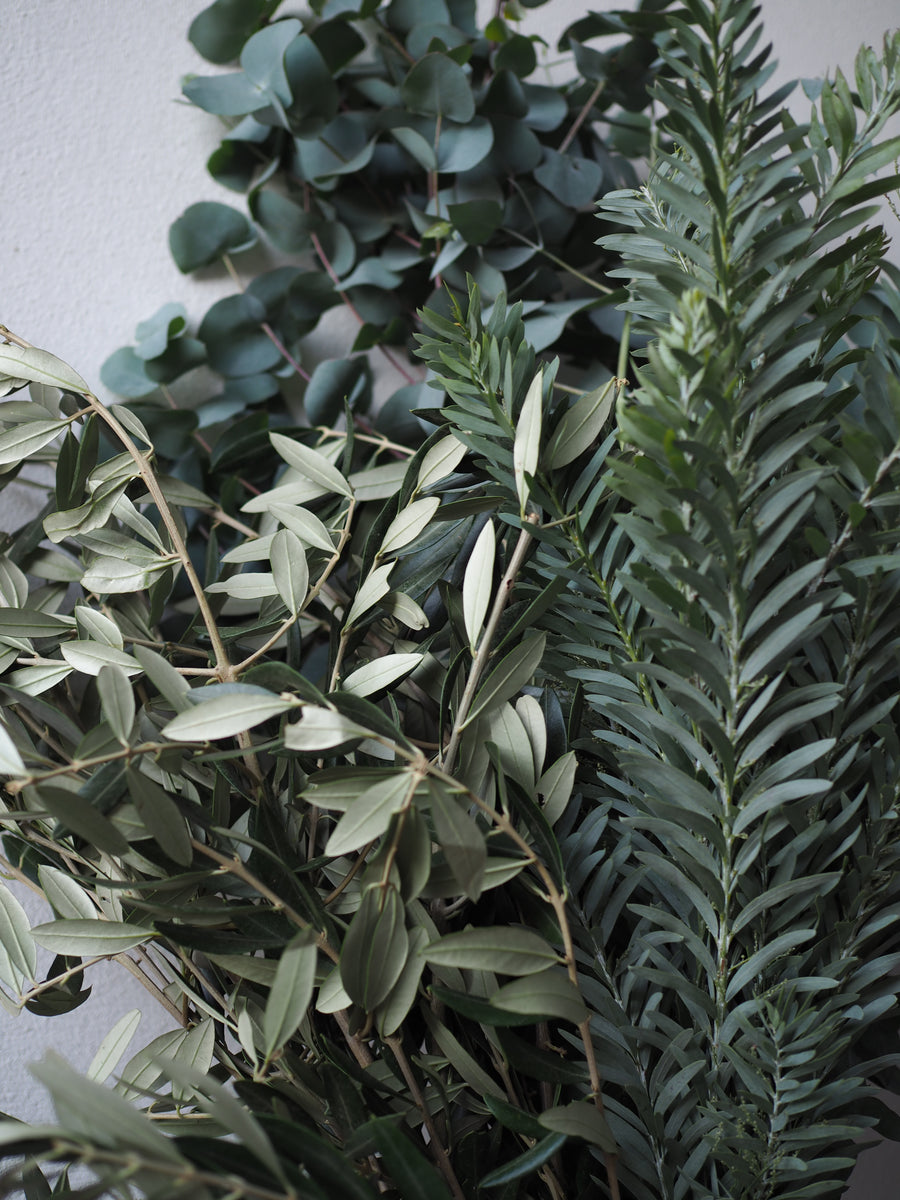 Sage Greenery Mix