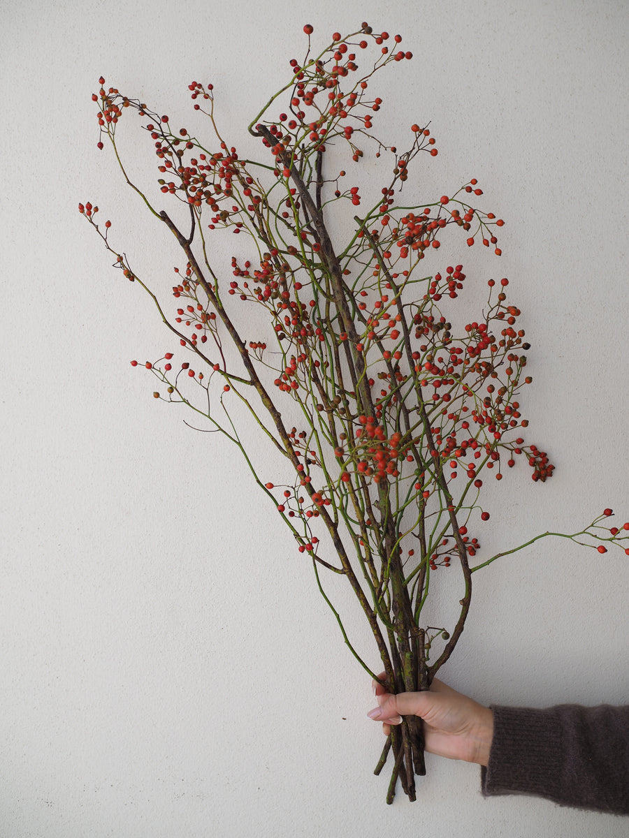 Rosehips