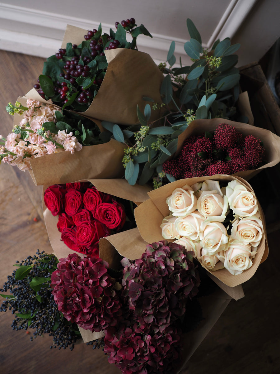 The Winter Collection