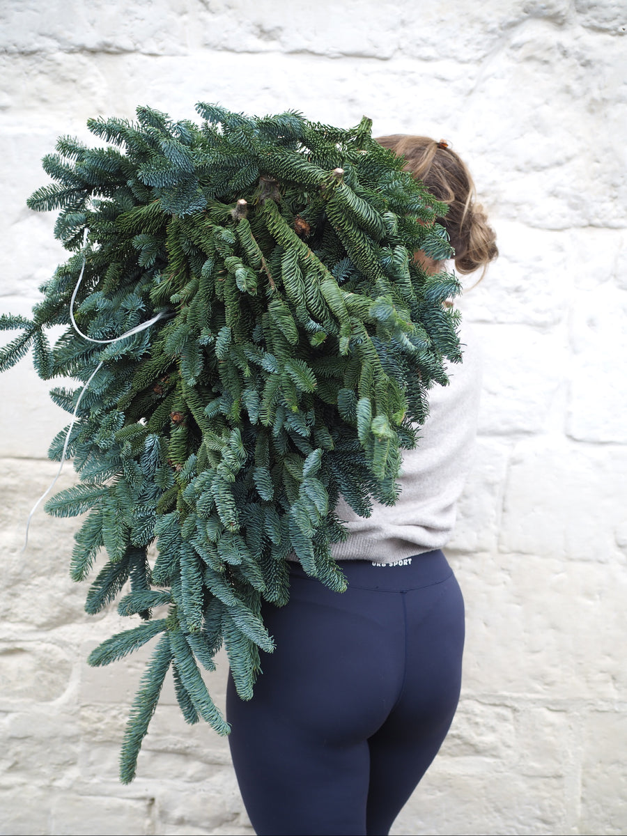 Pine
