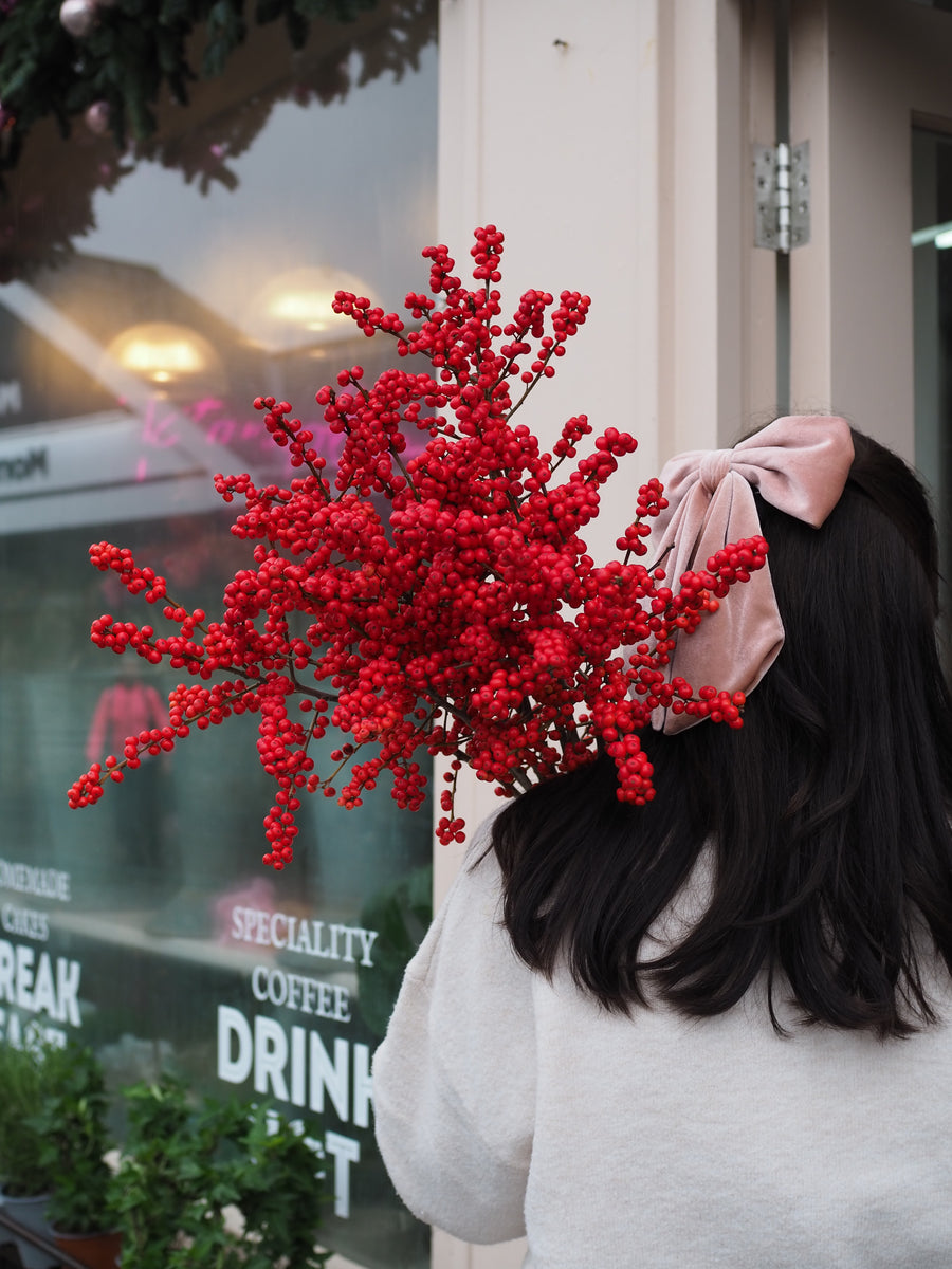 Abundance of Ilex
