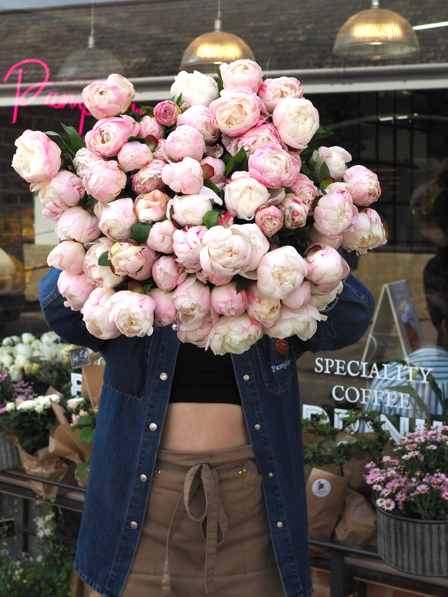 An Armful Of Gardenia Peony