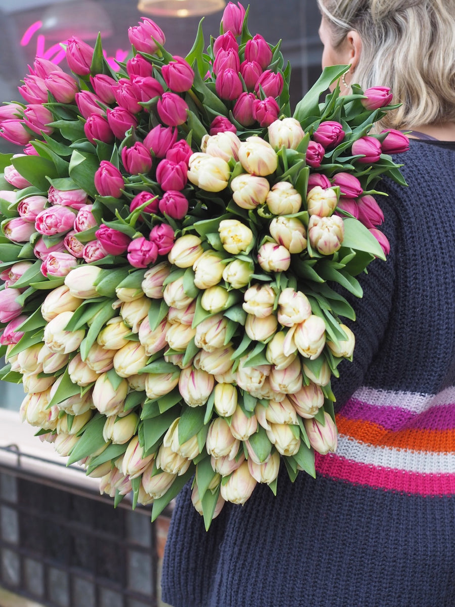An Armful Of Tulips